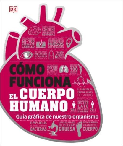 Cómo Funciona el Cuerpo Humano