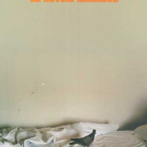 La novela luminosa