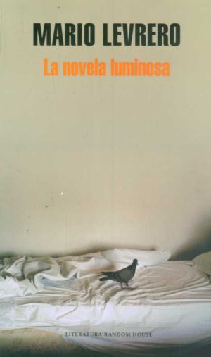 La novela luminosa
