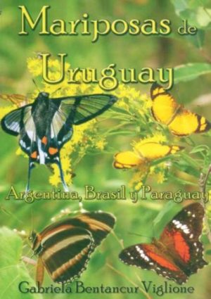 Mariposas de Uruguay