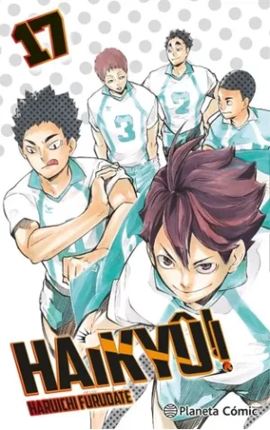 Haikyu N°17