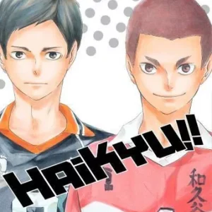 Manga- Haikyu N°14- Haruichi Furudate- Ivrea