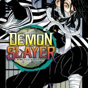 MANGA DEMON SLAYER N°19 KIMETSU NO YAIBA – KOYOHARU GOTOUGE – IVREA