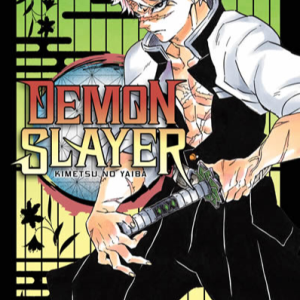 MANGA DEMON SLAYER N°17 KIMETSU NO YAIBA – KOYOHARU GOTOUGE – IVREA