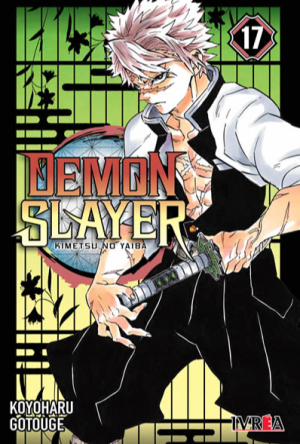 Demon Slayer N°17