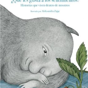 ¿Qué les gusta a los sentimientos?