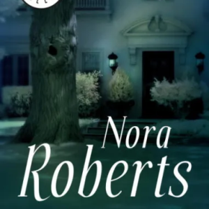Un sueño atrevido - Nora Roberts