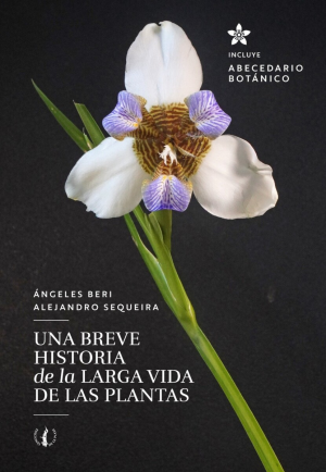 Una breve historia de la larga vida de las plantas