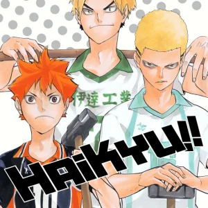Manga- Haikyu N°15- Haruichi Furudate- Ivrea