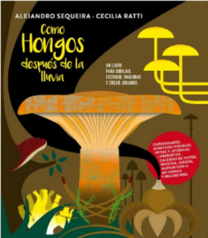 Como hongos después de la lluvia
