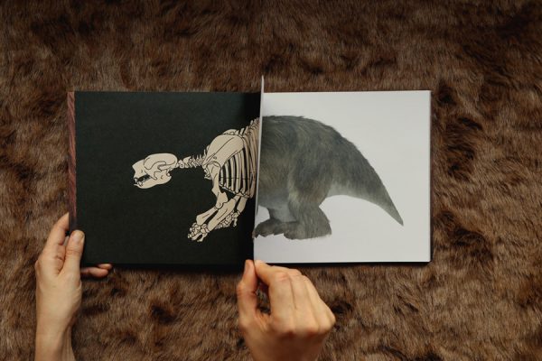 Megafauna 3D- Un libro de huesos - Imagen 2