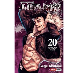 Jujutsu Kaisen °N20