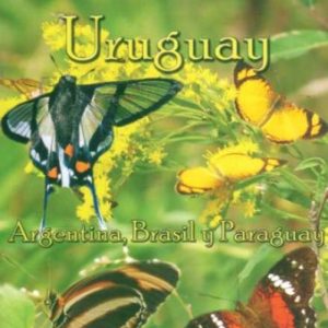 Mariposas de Uruguay