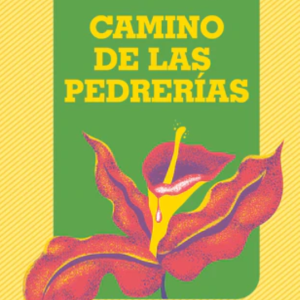 Camino de las pedrerías
