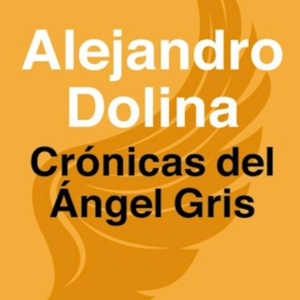 Crónicas del Ángel Gris