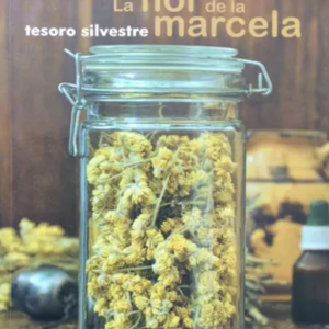 La flor de la marcela