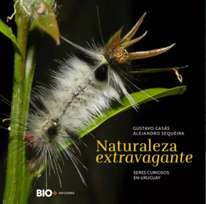 Naturaleza extravagante