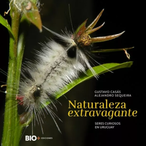 Naturaleza extravagante