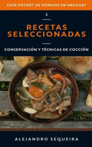Recetas seleccionadas