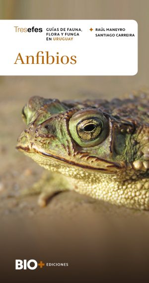 Anfibios. Guías de Fauna, Flora y Funga en Uruguay
