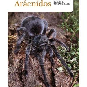 Arácnidos. Guías de Fauna, Flora y Funga en Uruguay