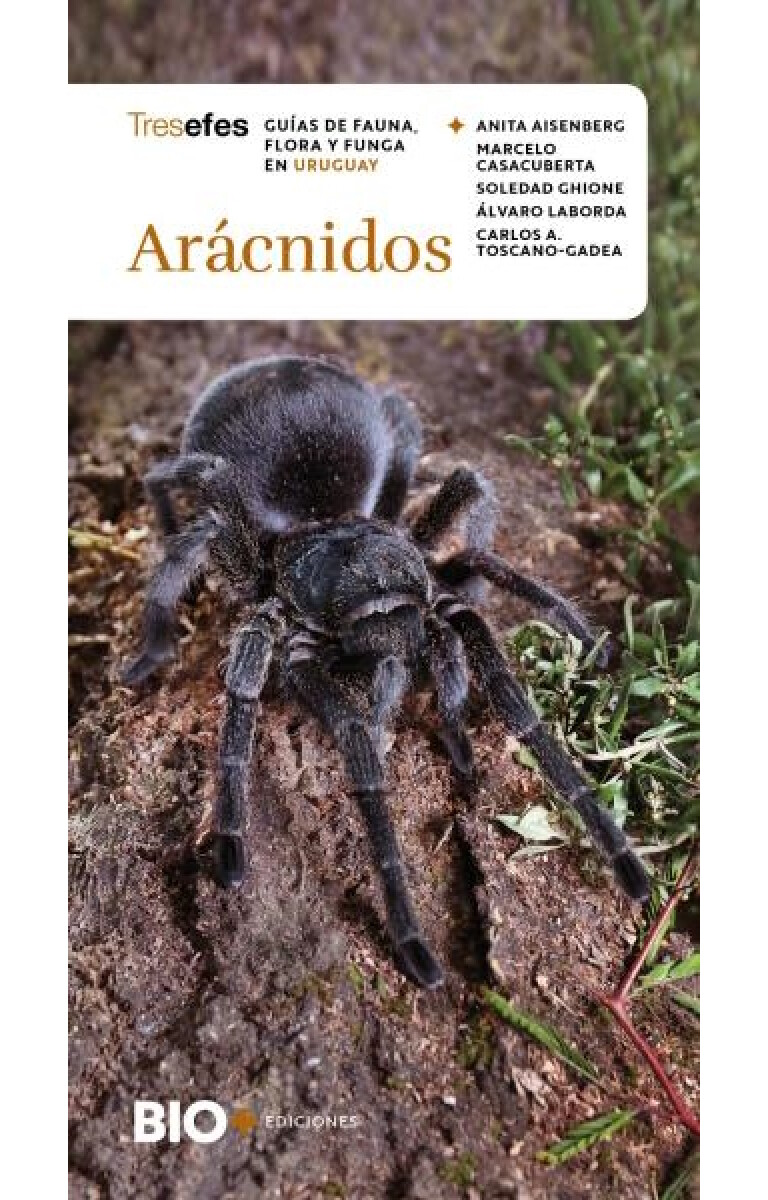 Arácnidos. Guías de Fauna, Flora y Funga en Uruguay