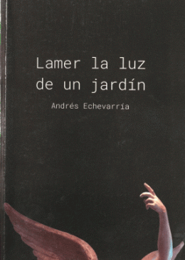 Lamer la luz de un jardín