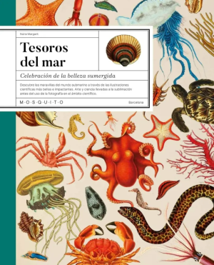 Tesoros del mar, celebración de la belleza sumergida