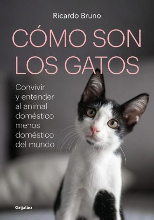 Cómo son los gatos