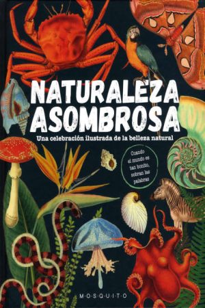 Naturaleza Asombrosa