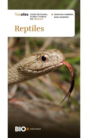 Reptiles