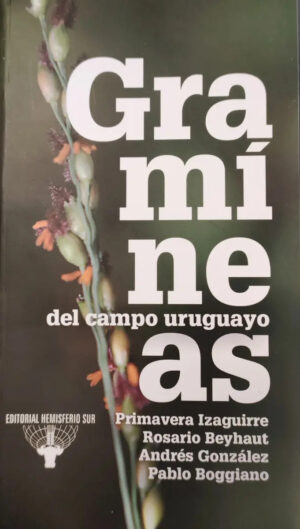 Gramíneas del campo uruguayo