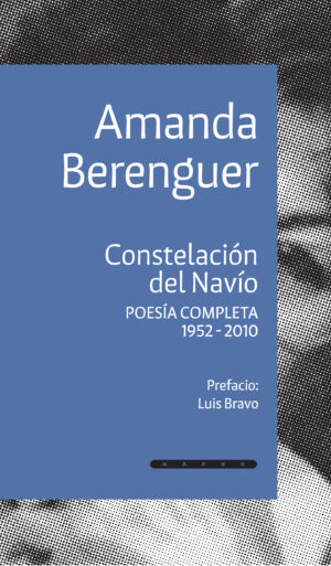 Constelación del navío