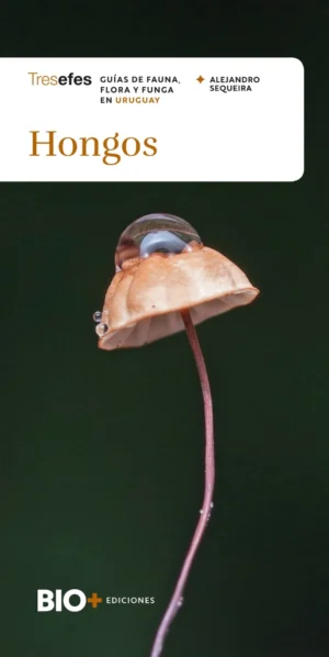 Hongos - Guías de fauna, flora y funga en Uruguay